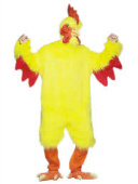 The Chicken Man will do his rendition of the chicken dance at your next party. Chicken Man always puts a smile on the kid's faces
